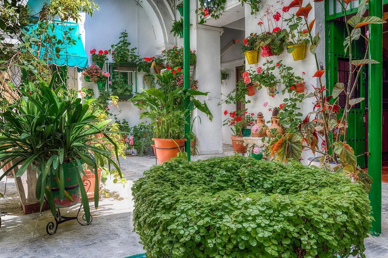 Apartamentos Jerez Jerez de la Frontera España